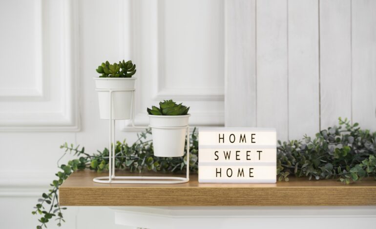 Your Must-Have 8 Indoor Plants for Good Luck